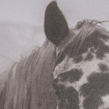 Spotted Solo Horse by Nathan Kane a Hand Embelished Textured Framed Photo Art Print from Mercana - Luna Furniture