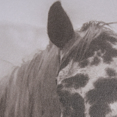 Spotted Solo Horse by Nathan Kane a Hand Embelished Textured Framed Photo Art Print from Mercana - Luna Furniture