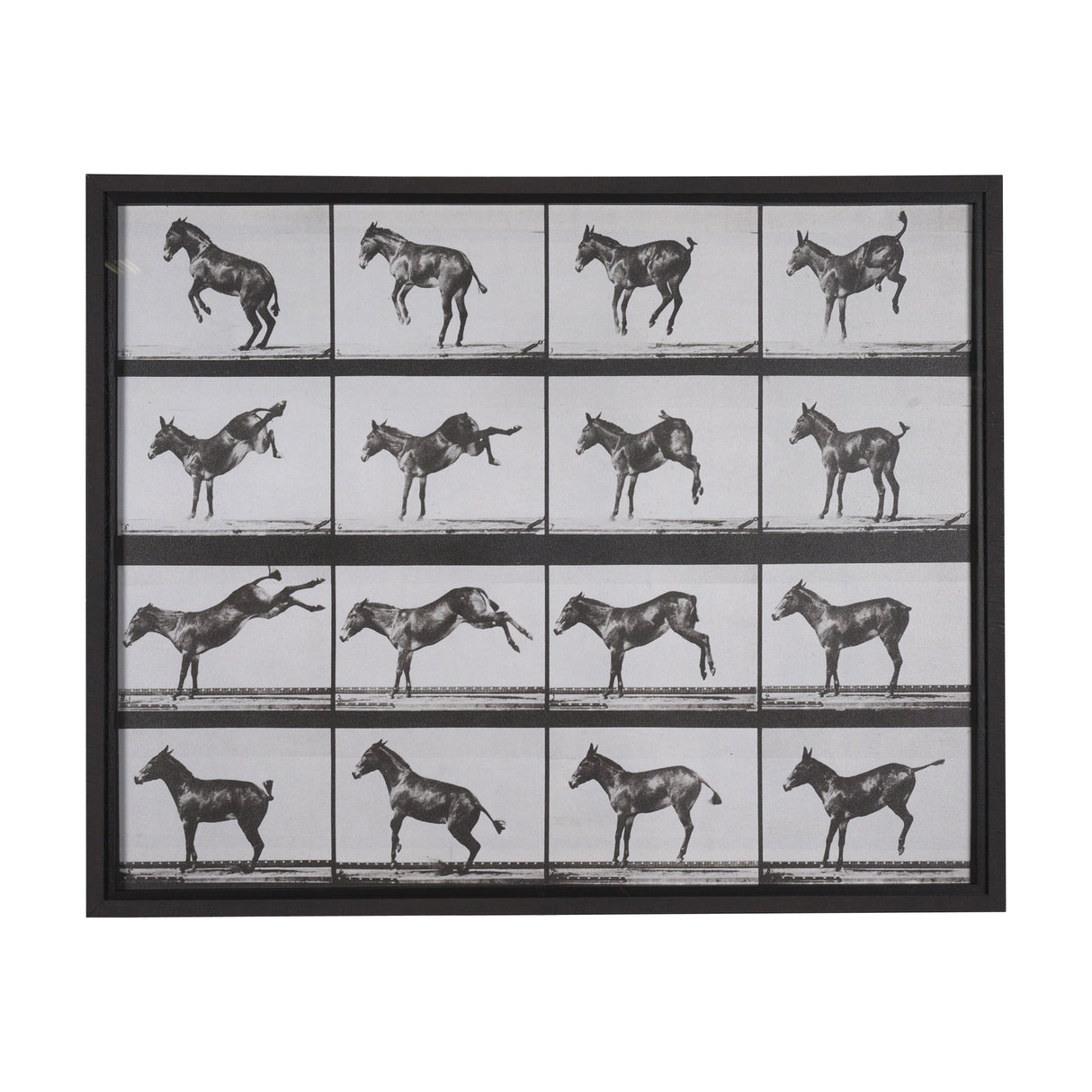 Bucking and Kicking by Eadweard Muybridge Hand Embellished Framed Art Print Matted under Glass from Mercana - Luna Furniture