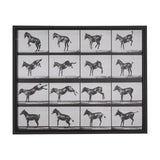 Bucking and Kicking by Eadweard Muybridge Hand Embellished Framed Art Print Matted under Glass from Mercana - Luna Furniture