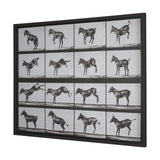 Bucking and Kicking by Eadweard Muybridge Hand Embellished Framed Art Print Matted under Glass from Mercana - Luna Furniture