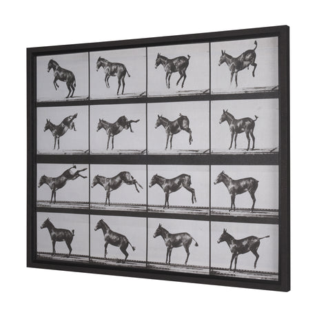 Bucking and Kicking by Eadweard Muybridge Hand Embellished Framed Art Print Matted under Glass from Mercana - Luna Furniture
