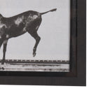 Bucking and Kicking by Eadweard Muybridge Hand Embellished Framed Art Print Matted under Glass from Mercana - Luna Furniture
