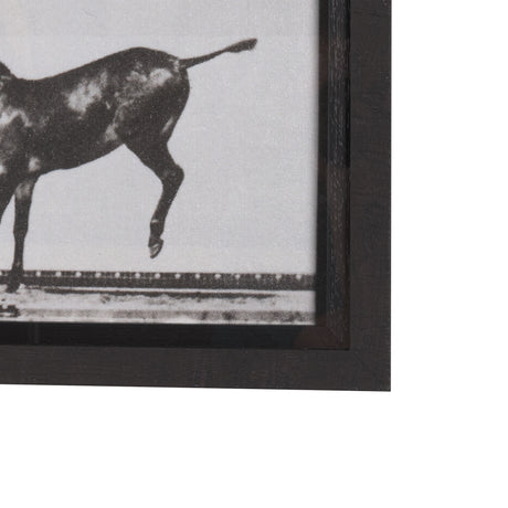 Bucking and Kicking by Eadweard Muybridge Hand Embellished Framed Art Print Matted under Glass from Mercana - Luna Furniture