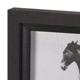 Bucking and Kicking by Eadweard Muybridge Hand Embellished Framed Art Print Matted under Glass from Mercana - Luna Furniture