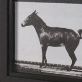Bucking and Kicking by Eadweard Muybridge Hand Embellished Framed Art Print Matted under Glass from Mercana - Luna Furniture