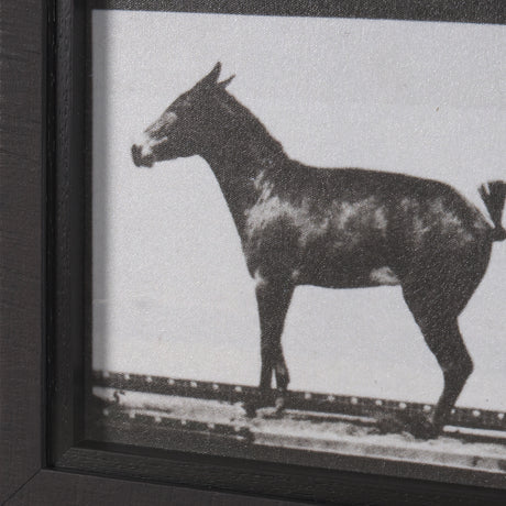 Bucking and Kicking by Eadweard Muybridge Hand Embellished Framed Art Print Matted under Glass from Mercana - Luna Furniture