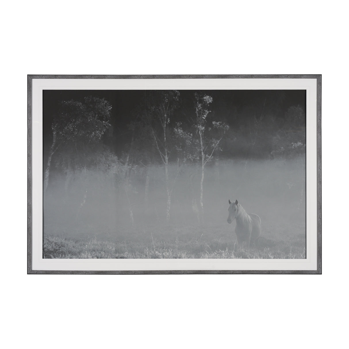 Quiet Morning by Matt Roseveare a Framed Photo Art Print Matted under Glass from Mercana - Luna Furniture