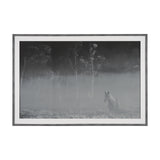 Quiet Morning by Matt Roseveare a Framed Photo Art Print Matted under Glass from Mercana - Luna Furniture