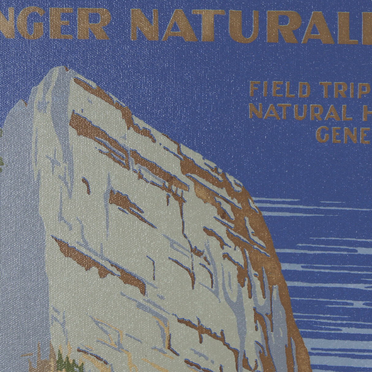 Zion National Park by The Vinatage Collection a Framed Art Print Matted under Glass from Mercana - Luna Furniture