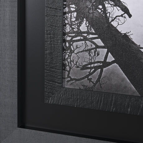 Mirror View by Carleton E Watkins a Hand Embellished Textured Framed Photo Art Print from Mercana - Luna Furniture