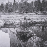 Mirror View by Carleton E Watkins a Hand Embellished Textured Framed Photo Art Print from Mercana - Luna Furniture