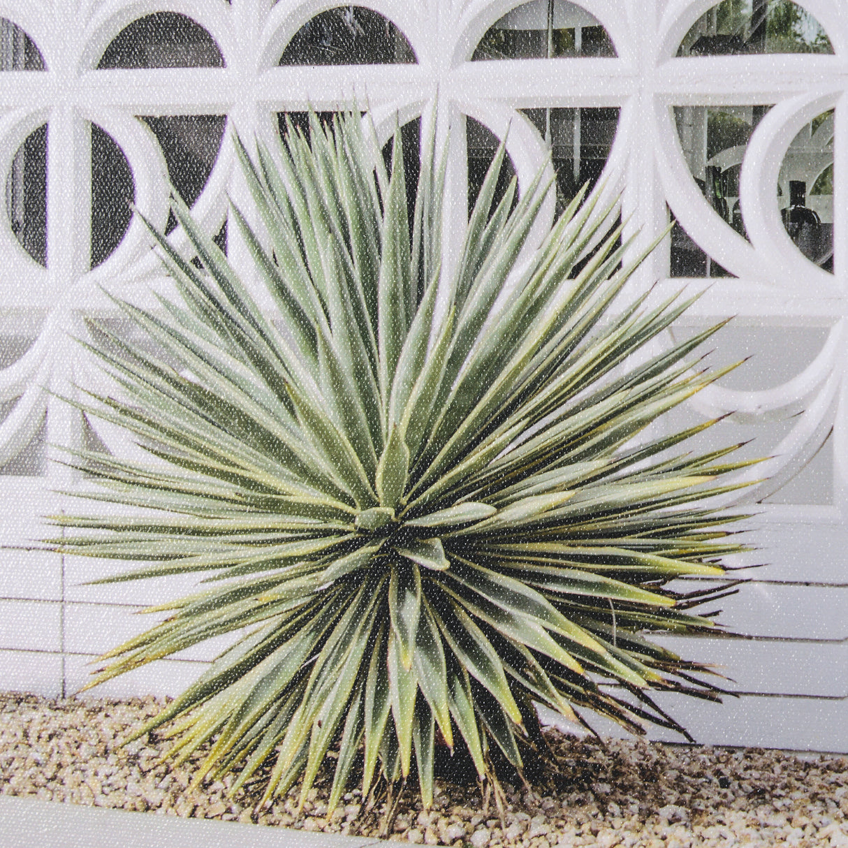 Palm Springs Villa Puerta Naranja Irene Suchocki Hand Embellished Framed Photo Art Print Matted unde from Mercana - Luna Furniture