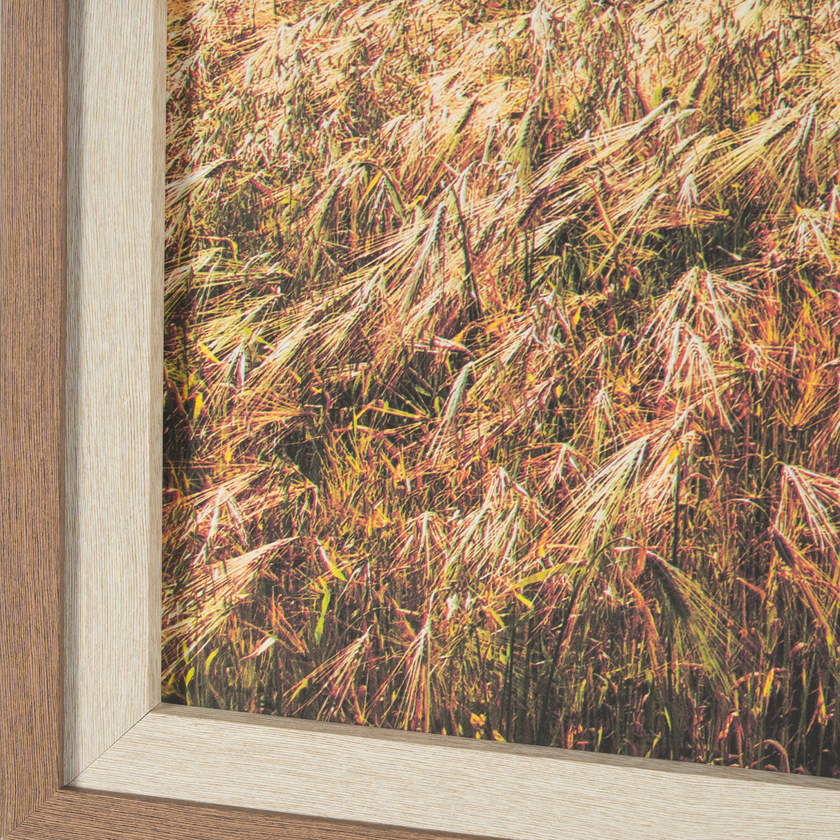 Between The Fields by Matt Roseveare a Hand Embellished Textured Framed Photo Art Print Matted under from Mercana - Luna Furniture