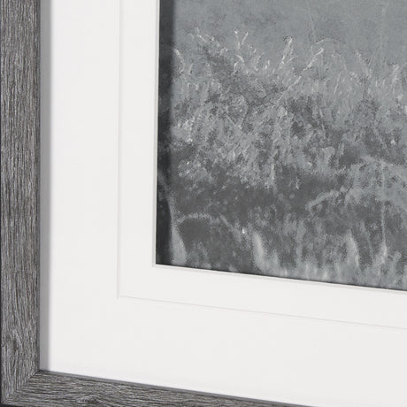 Quiet Morning by Matt Roseveare a Framed Photo Art Print Matted under Glass from Mercana - Luna Furniture