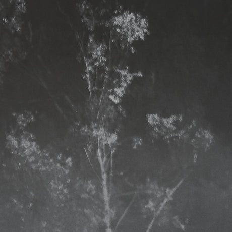 Quiet Morning by Matt Roseveare a Framed Photo Art Print Matted under Glass from Mercana - Luna Furniture
