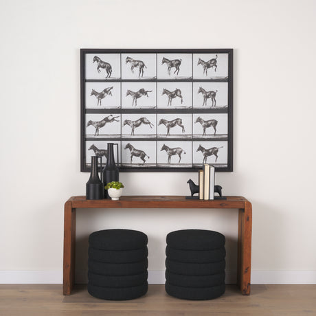 Bucking and Kicking by Eadweard Muybridge Hand Embellished Framed Art Print Matted under Glass from Mercana - Luna Furniture