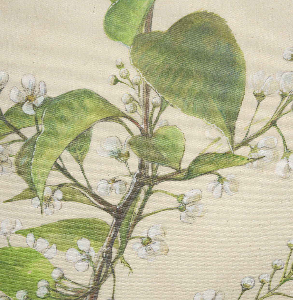 Botanical Study-Prunus Padus by Mercana Studio a Hand Embelished Textured Framed Art Print from Mercana - Luna Furniture