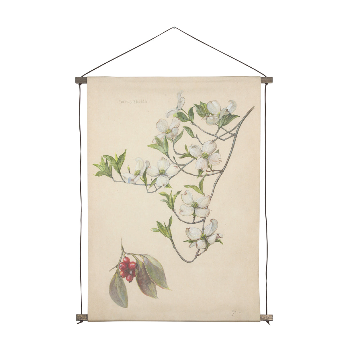 Botanical Study-Cornus Florida by Mercana Studio a Hand Embelished Textured Framed Art Print from Mercana - Luna Furniture