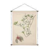 Botanical Study-Cornus Florida by Mercana Studio a Hand Embelished Textured Framed Art Print from Mercana - Luna Furniture