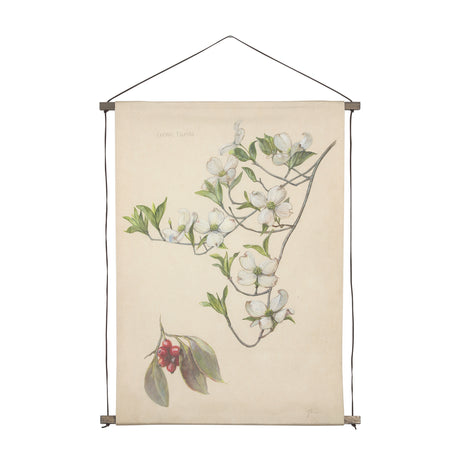 Botanical Study-Cornus Florida by Mercana Studio a Hand Embelished Textured Framed Art Print from Mercana - Luna Furniture