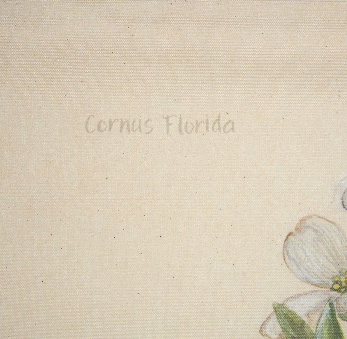 Botanical Study-Cornus Florida by Mercana Studio a Hand Embelished Textured Framed Art Print from Mercana - Luna Furniture