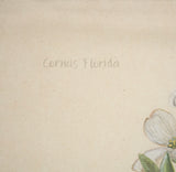 Botanical Study-Cornus Florida by Mercana Studio a Hand Embelished Textured Framed Art Print from Mercana - Luna Furniture