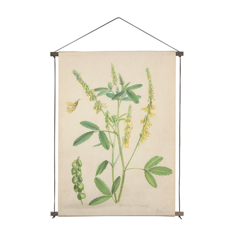 Botanical Study-Melilotus Officinalis by Mercana Studio a Hand Embelished Textured Framed Art Print from Mercana - Luna Furniture