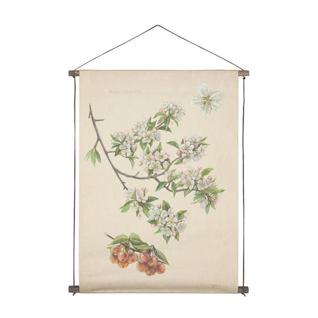 Botanical Study-Malus Sylvestris by Mercana Studio a Hand Embelished Textured Framed Art Print from Mercana - Luna Furniture