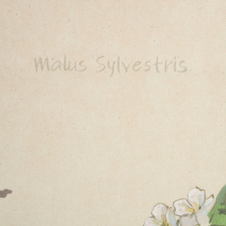 Botanical Study-Malus Sylvestris by Mercana Studio a Hand Embelished Textured Framed Art Print from Mercana - Luna Furniture