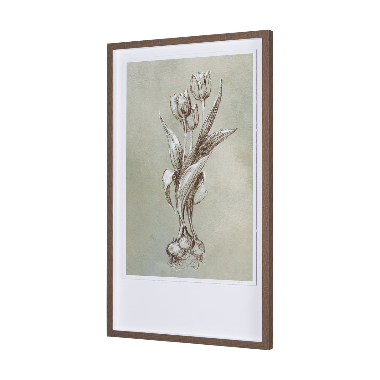 Botanical Sketch I (green) by Mercana Studio Hand Embellished Framed Art Print Matted under Glass from Mercana - Luna Furniture