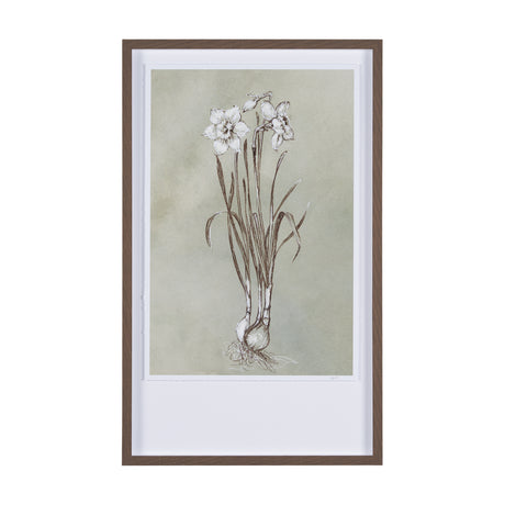 Botanical Sketch II (green) by Mercana Studio Hand Embellished Framed Art Print Matted under Glass from Mercana - Luna Furniture
