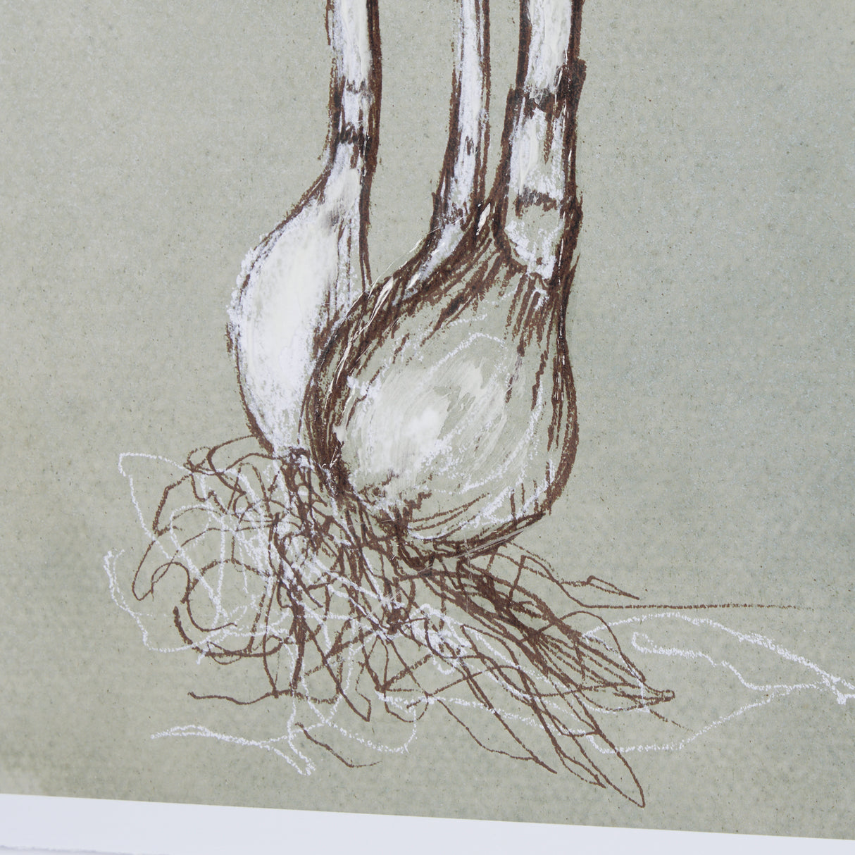Botanical Sketch II (green) by Mercana Studio Hand Embellished Framed Art Print Matted under Glass from Mercana - Luna Furniture