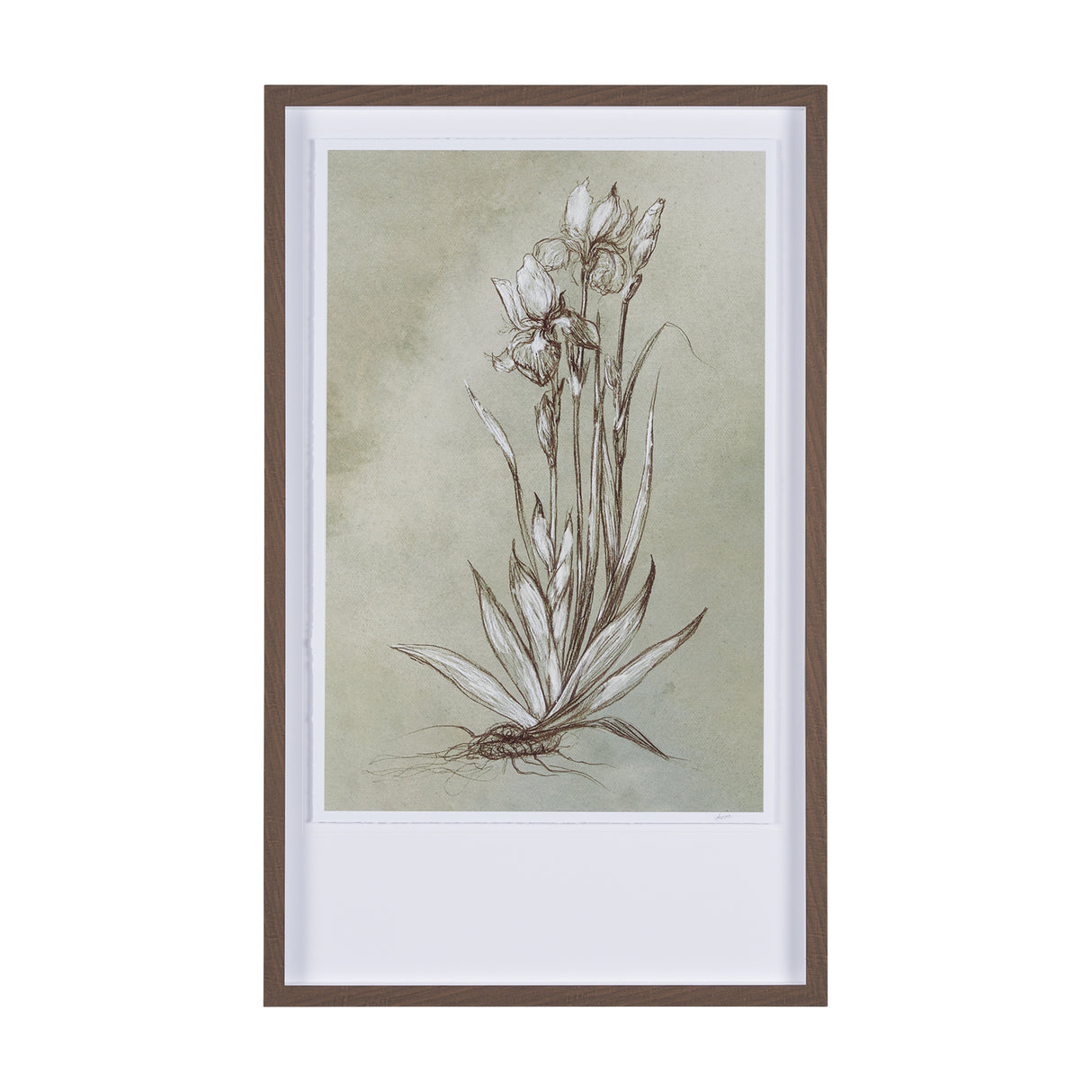 Botanical Sketch IV (green) by Mercana Studio Hand Embellished Framed Art Print Matted under Glass from Mercana - Luna Furniture