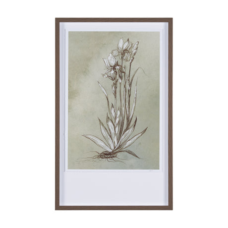 Botanical Sketch IV (green) by Mercana Studio Hand Embellished Framed Art Print Matted under Glass from Mercana - Luna Furniture
