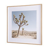 Joshua Tree 1 by THE Studio a Framed Photo Art Print Matted under Glass from Mercana - Luna Furniture