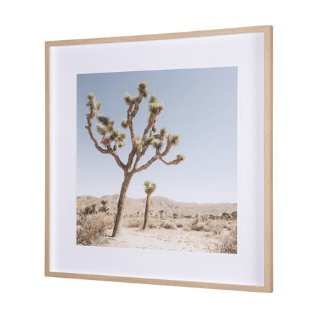 Joshua Tree 1 by THE Studio a Framed Photo Art Print Matted under Glass from Mercana - Luna Furniture