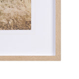 Joshua Tree 1 by THE Studio a Framed Photo Art Print Matted under Glass from Mercana - Luna Furniture