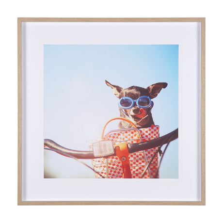 Retro Chihuahua by THE Studio a Framed Photo Art Print Matted under Glass from Mercana - Luna Furniture