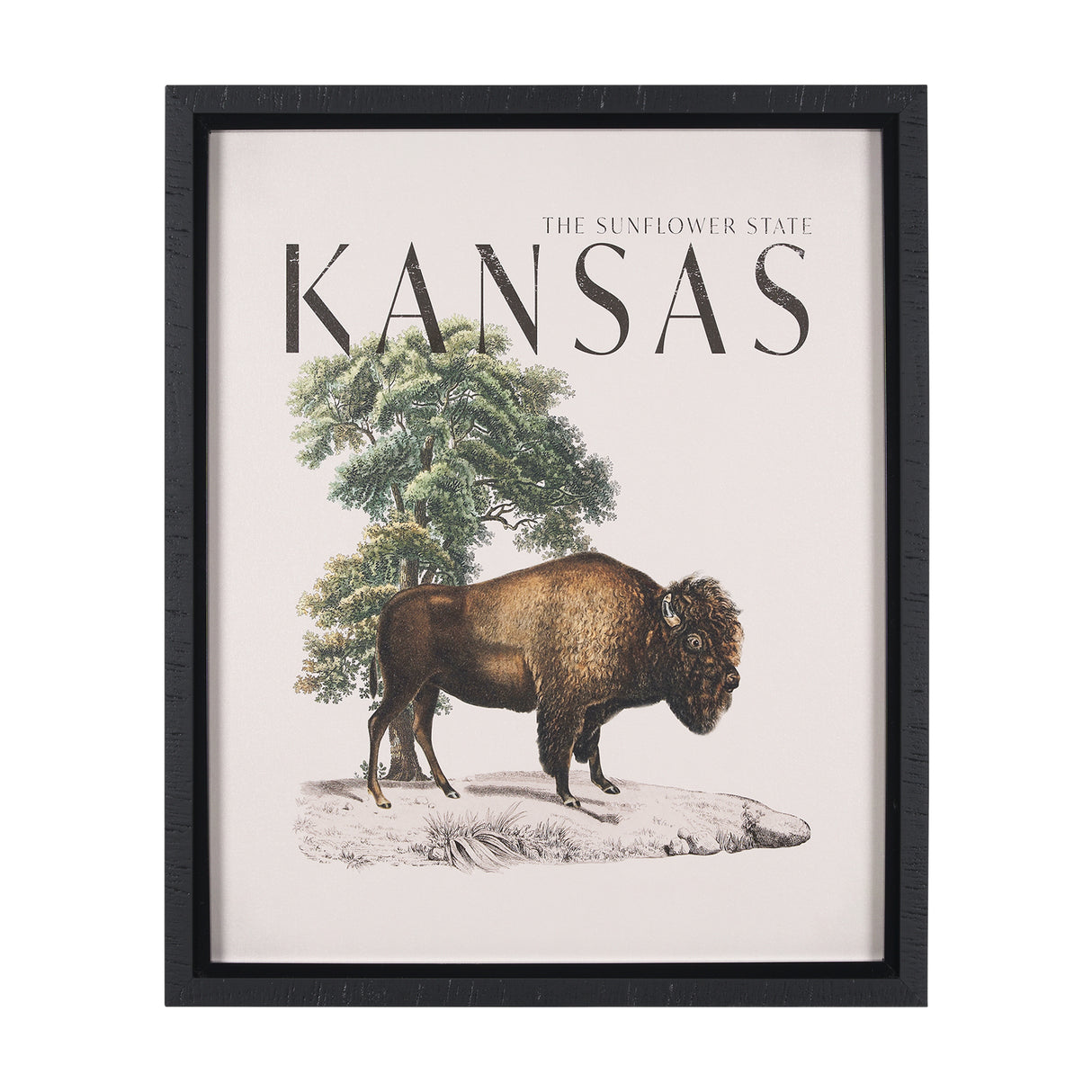 Travel Guide - Kansas by Vintage Collection a Hand Embellished Textured Framed Art Print from Mercana - Luna Furniture