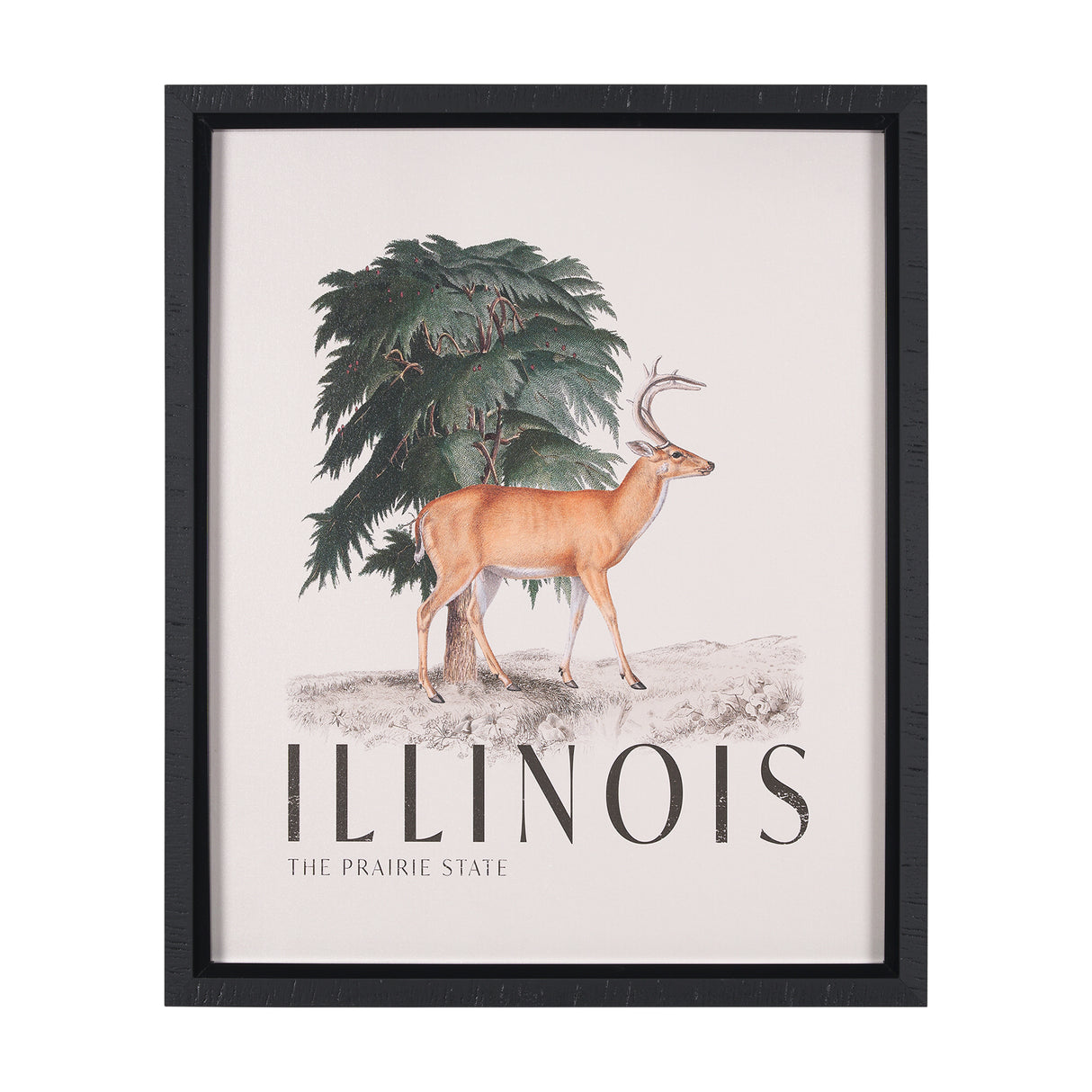 Travel Guide - Illinois by Vintage Collection a Hand Embellished Textured Framed Art Print from Mercana - Luna Furniture