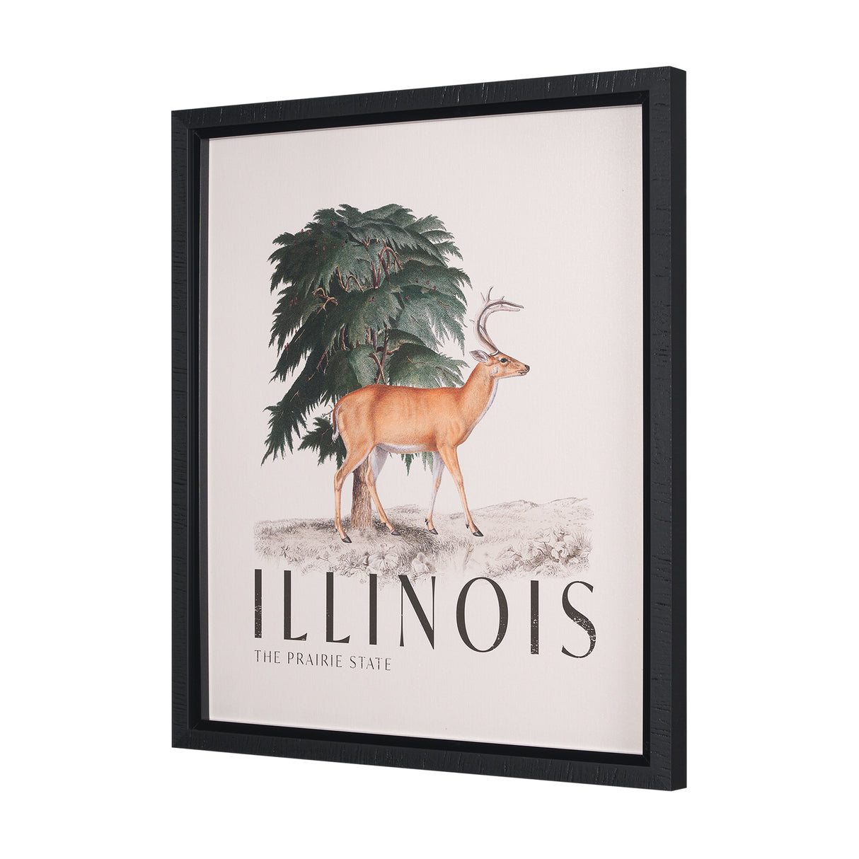Travel Guide - Illinois by Vintage Collection a Hand Embellished Textured Framed Art Print from Mercana - Luna Furniture