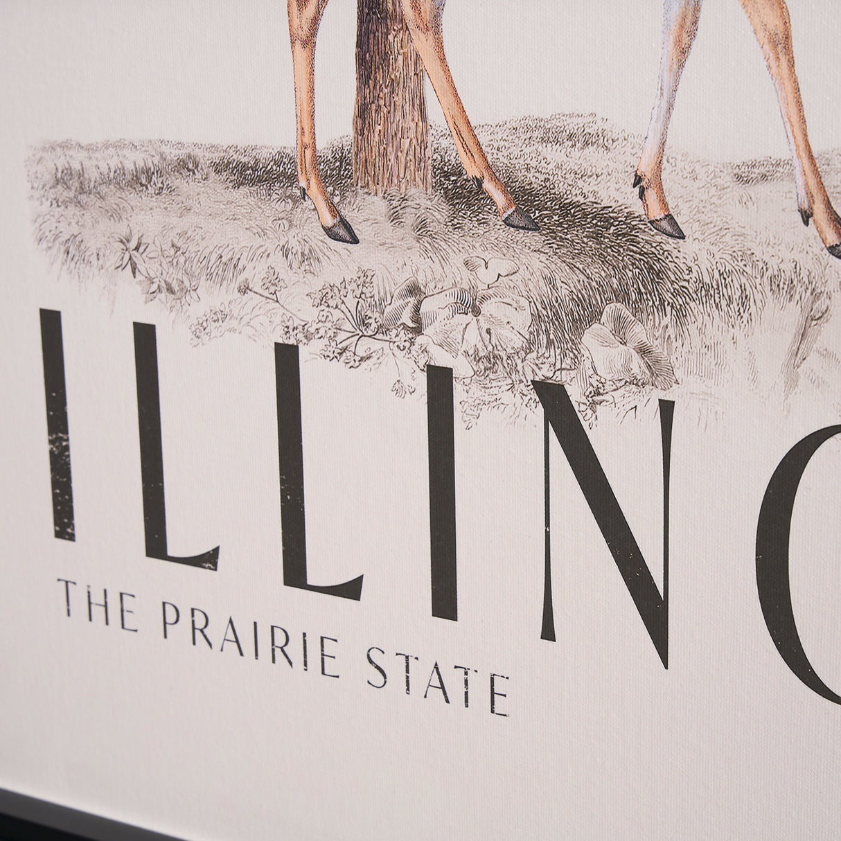 Travel Guide - Illinois by Vintage Collection a Hand Embellished Textured Framed Art Print from Mercana - Luna Furniture