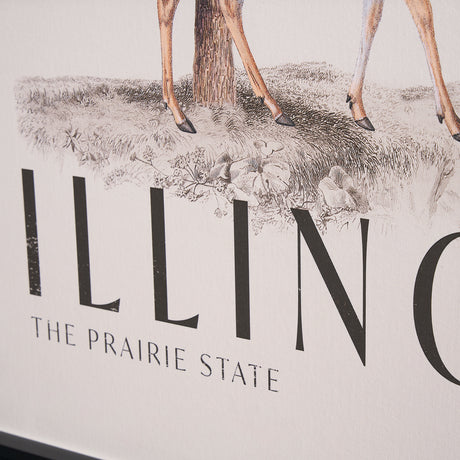 Travel Guide - Illinois by Vintage Collection a Hand Embellished Textured Framed Art Print from Mercana - Luna Furniture