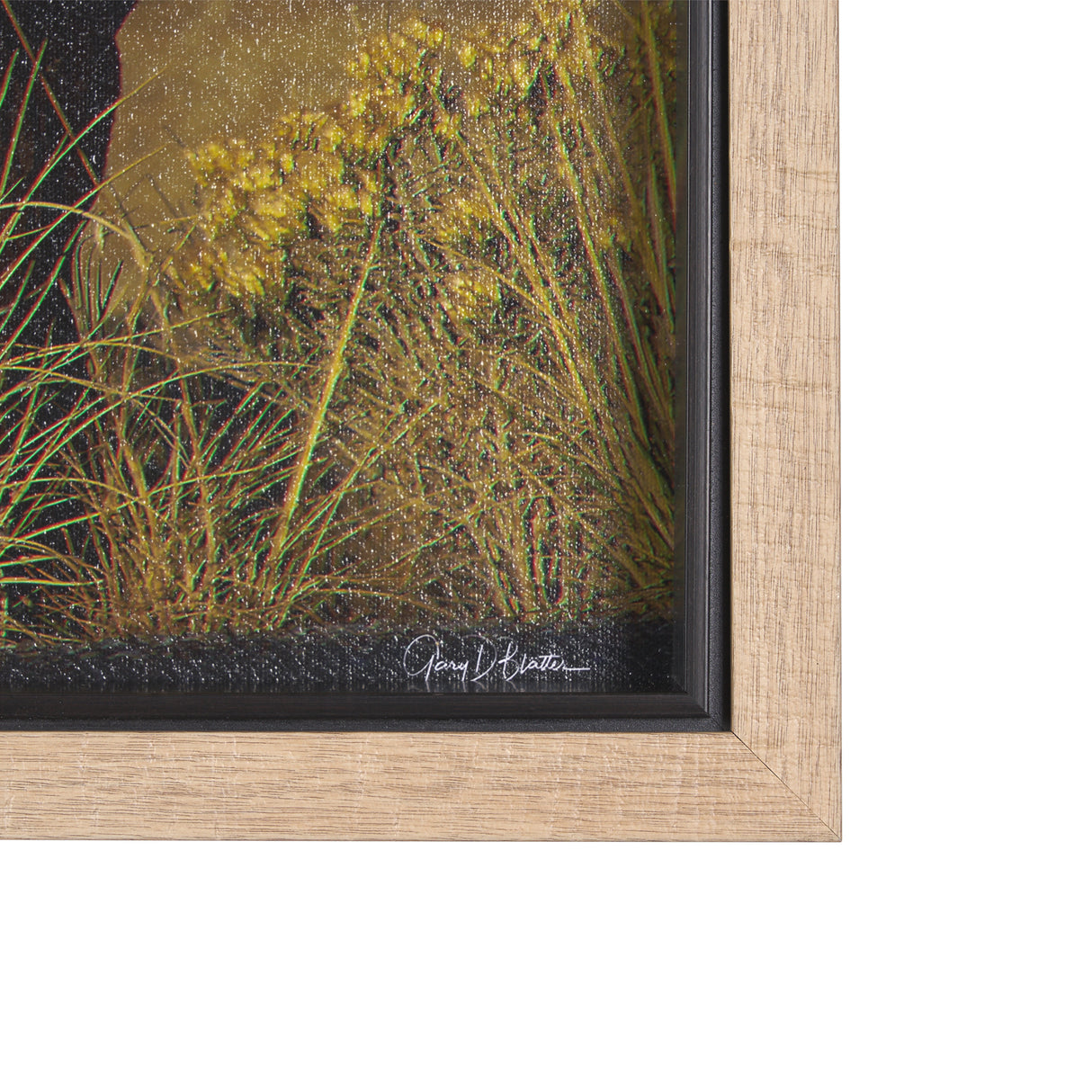 Antelope Island by Gary Blatter a Hand Embellished Textured Framed Photo Art Print from Mercana - Luna Furniture