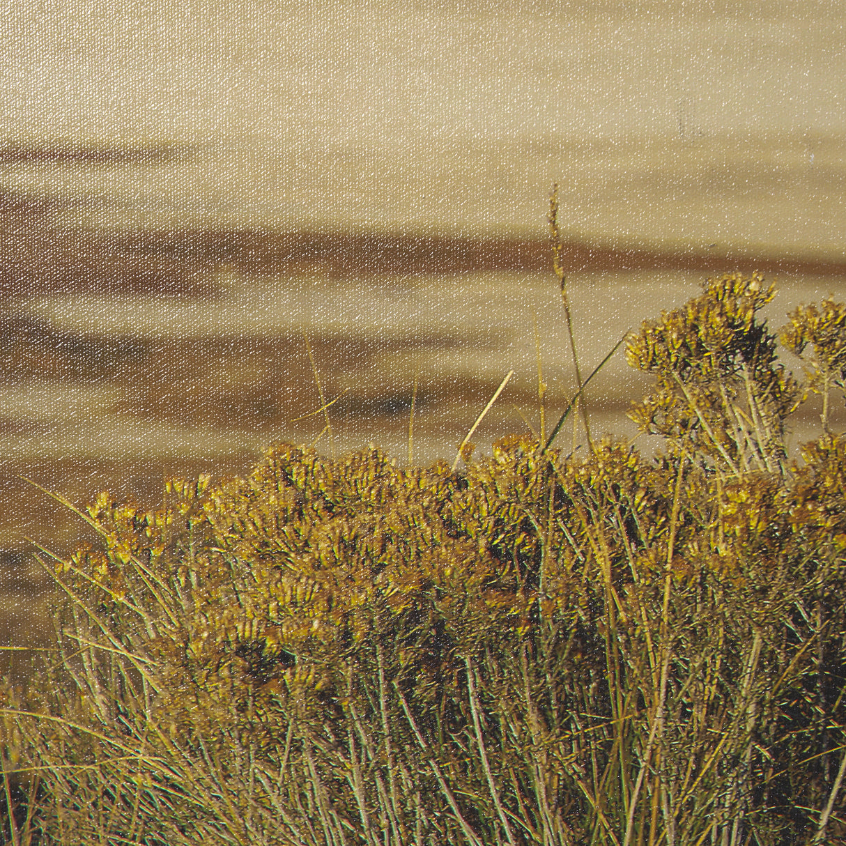 Antelope Island by Gary Blatter a Hand Embellished Textured Framed Photo Art Print from Mercana - Luna Furniture