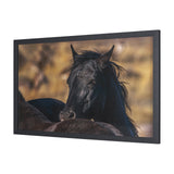 Wild Horses by Gary Blatter a Hand Embellished Textured Framed Photo Art Print from Mercana - Luna Furniture