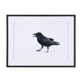 Raven Beauty by Gary Blatter a Hand Embellished Textured Framed Photo Art Print Matted under Glass from Mercana - Luna Furniture
