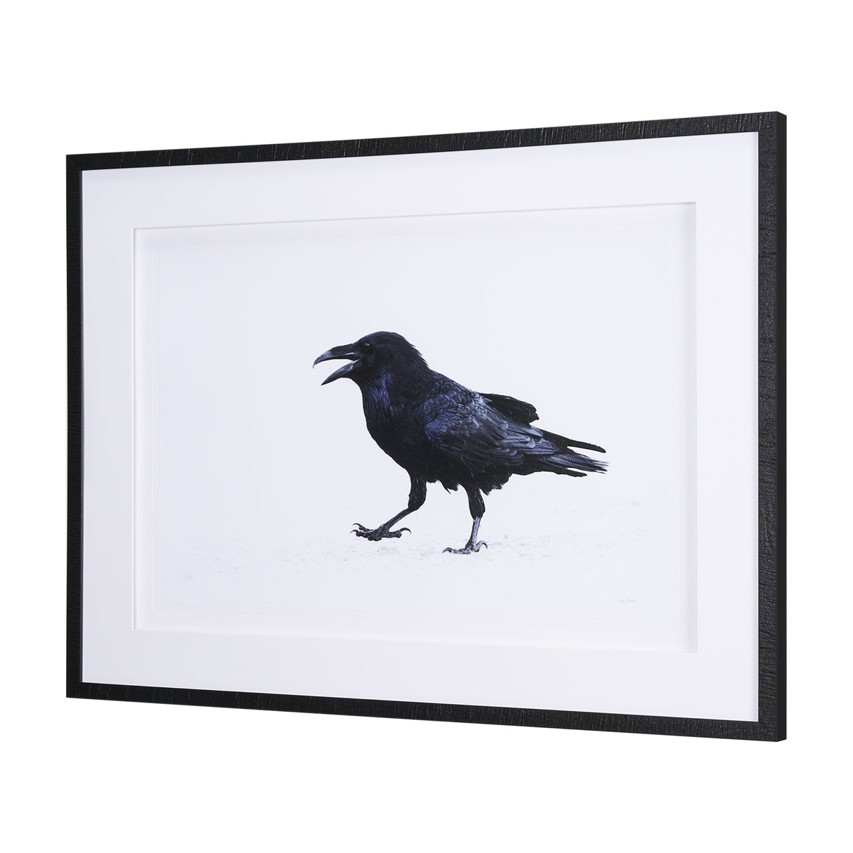 Raven Beauty by Gary Blatter a Hand Embellished Textured Framed Photo Art Print Matted under Glass from Mercana - Luna Furniture