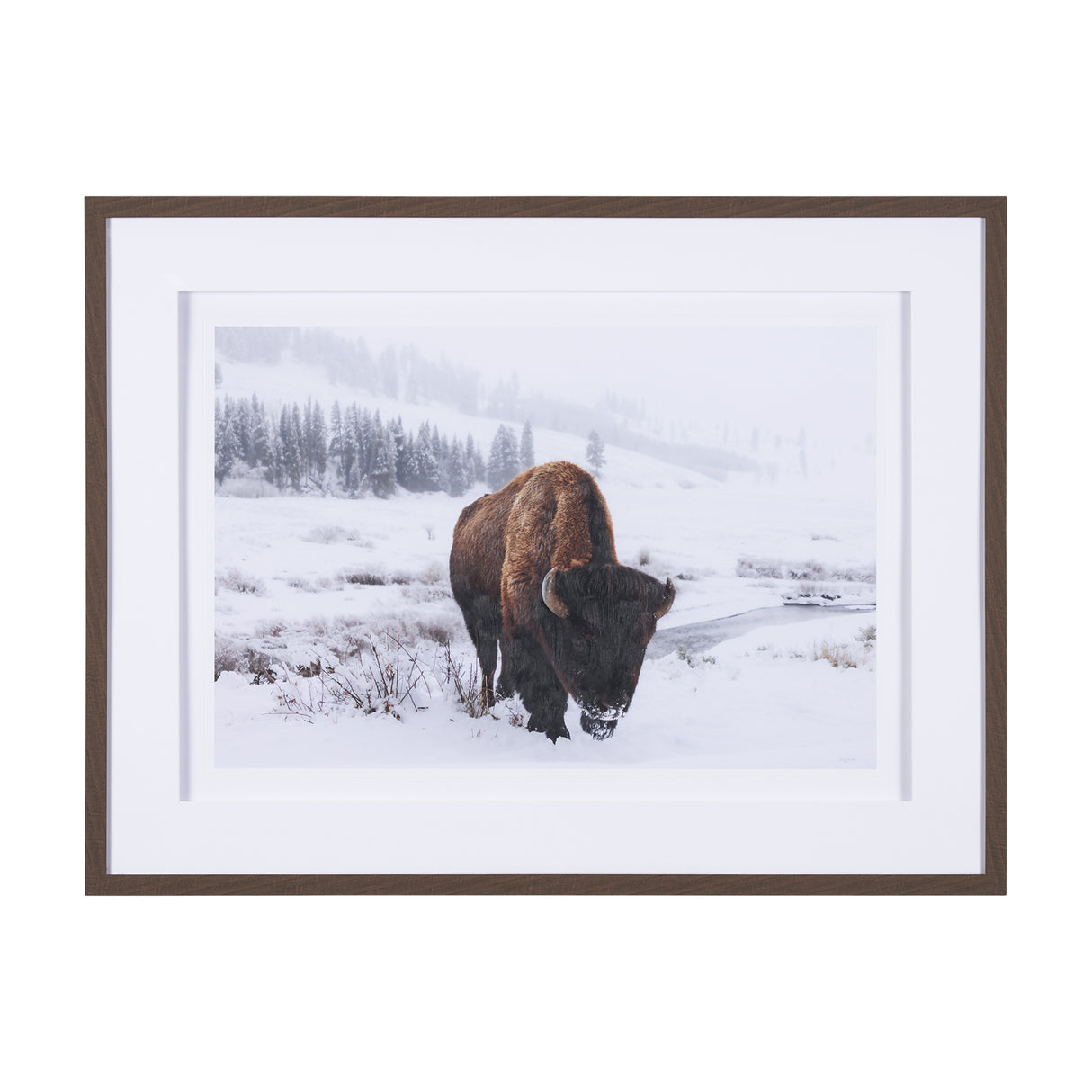 Winter in Paradise by Gary Blatter a Hand Embellished Textured Framed Photo Art Print Matted under G from Mercana - Luna Furniture